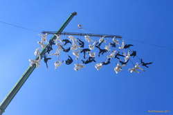 A long way up