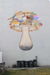 Mushroom paradise