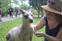 Hey skippy