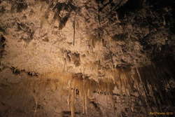More helictites