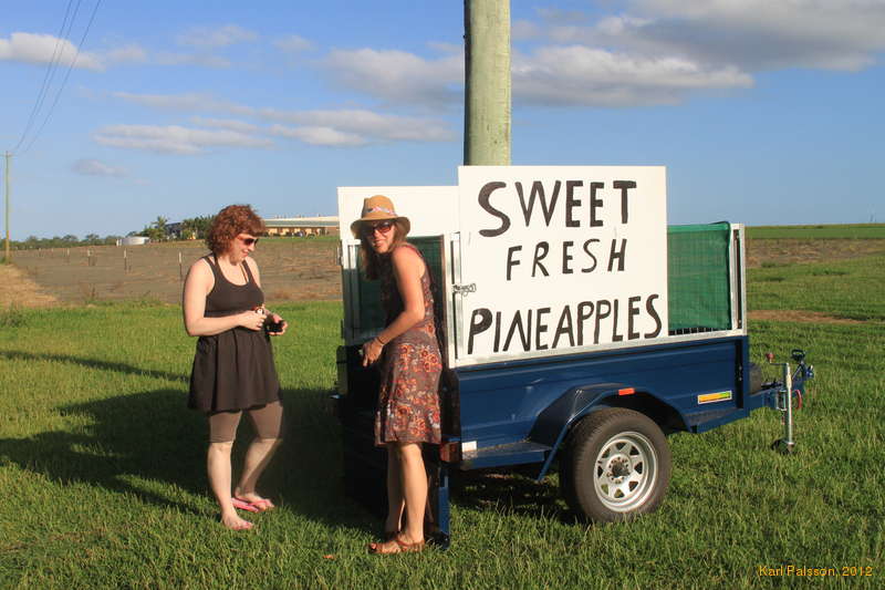 Pineapple shopping