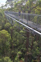 Kata a long way up