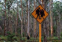 Fairies crossing