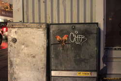 The birds