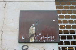 The birds