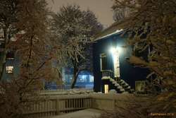 Snowy home