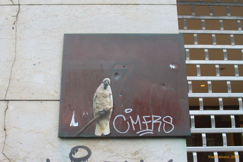 The birds
