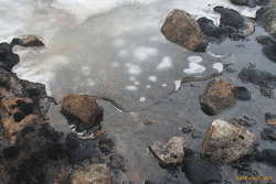 Melting snow