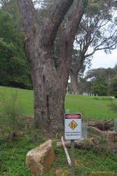 Nice sign, 