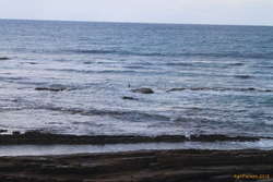 Shipwreck
