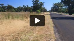 Tumbling spinifex