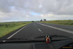 More canefields