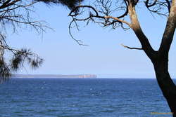 Point Perpendicular