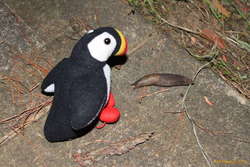 Lulli and a slug