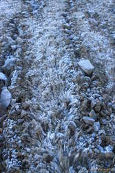 Furrows forming