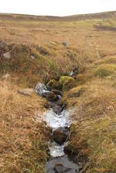 Frosty stream