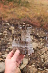 Jumbo grass ice