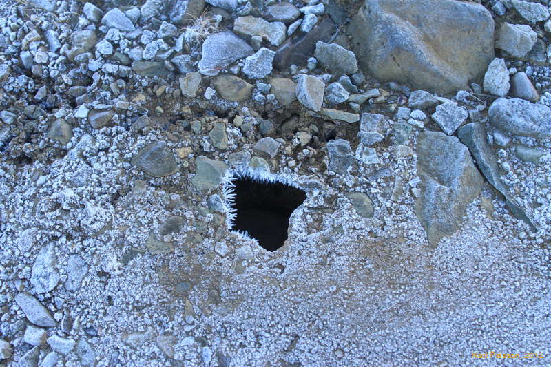 Icy maw