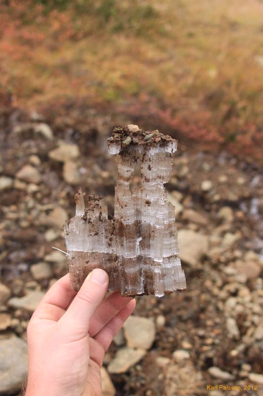 Jumbo grass ice