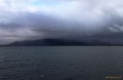 The bay