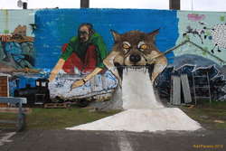 New skate ramp