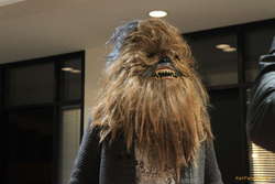 Halldórbacca