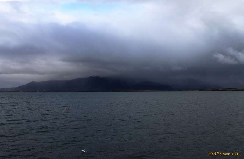 The bay