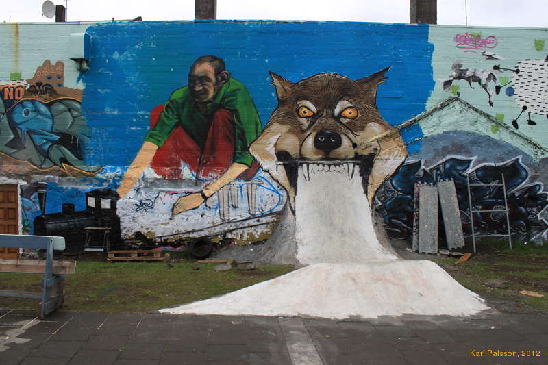 New skate ramp