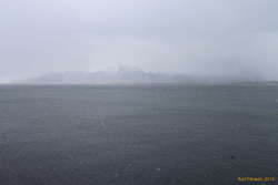 On the bay
