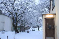 Snow in town