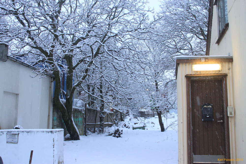 Snow in town