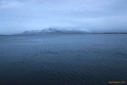 On the bay
