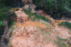 Mud
