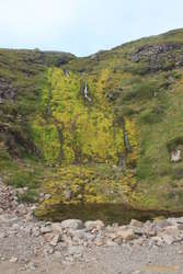 Mossfall