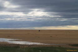 Big empty beach