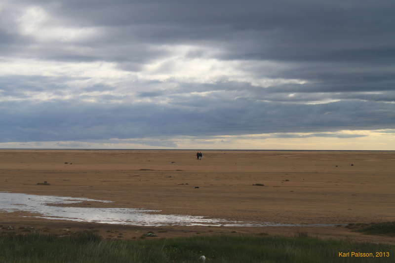 Big empty beach
