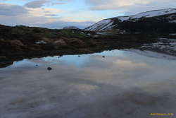 Reflections