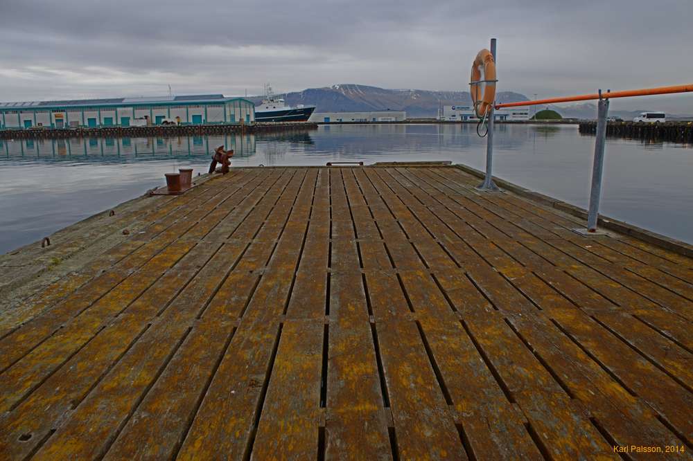 By the harbour