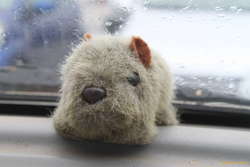 Car mascot