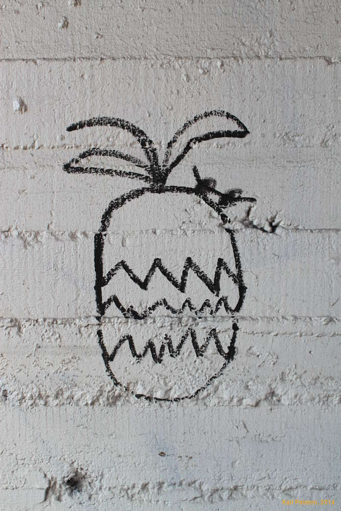 Pineapple