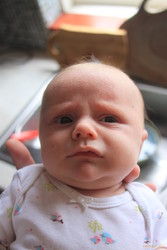 Stella dubious face