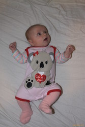 Stella modelling