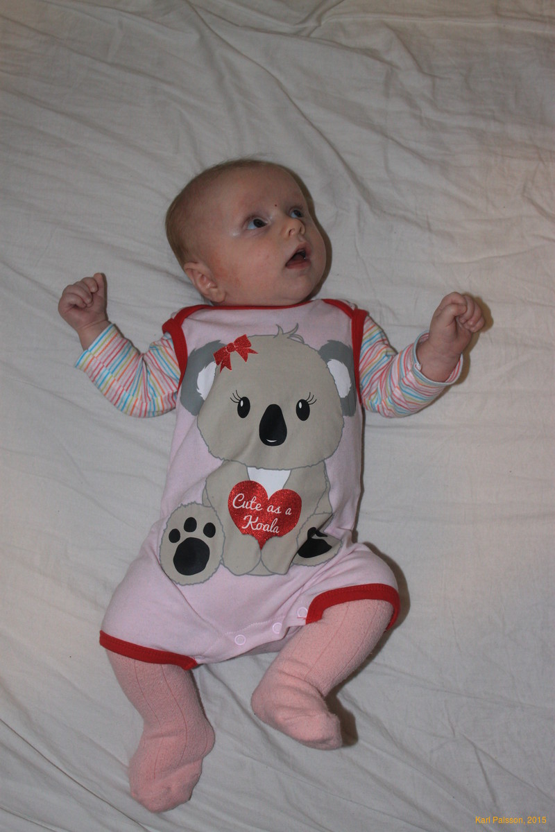 Stella modelling