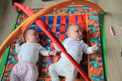 content cousins