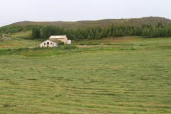 Hay patterns