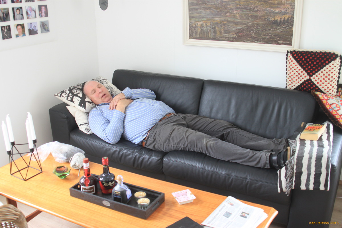 Valdimar relaxing