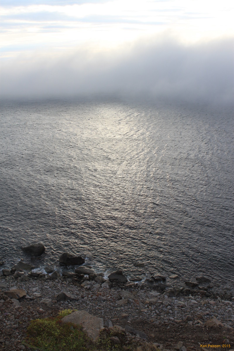 Fog in the sunset