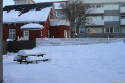 Snow in the garden
