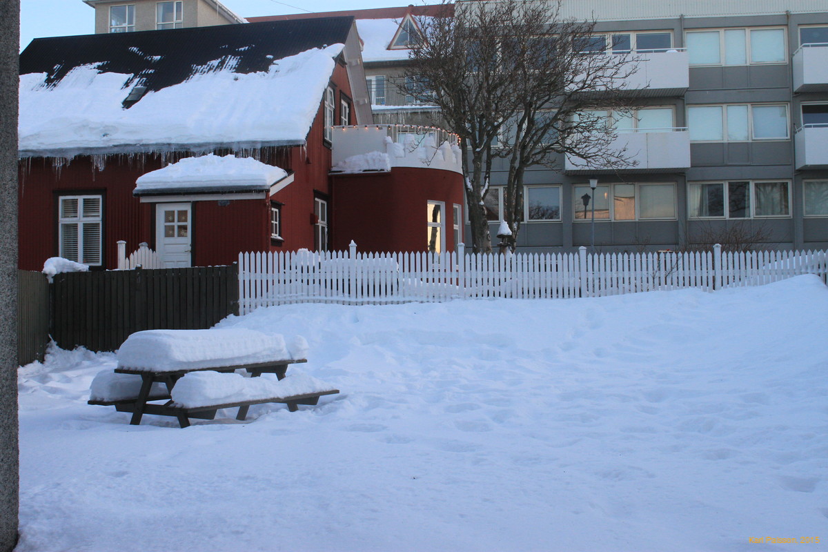 Snow in the garden