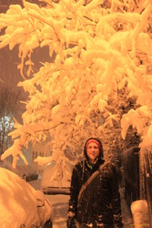 Snowy trees